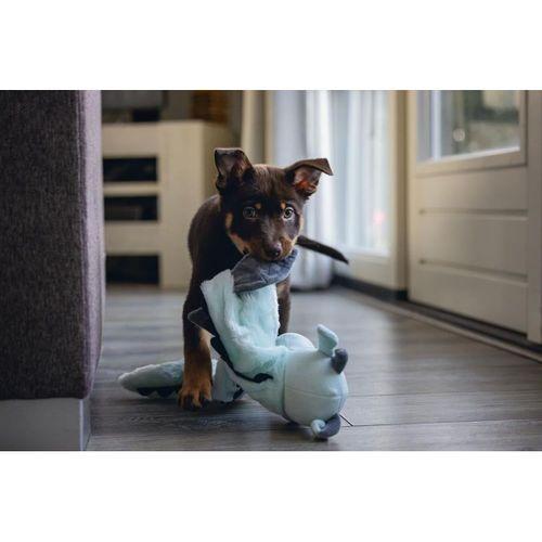 Beeztees Yavru Köpek Oyuncağı, Dragon, Peluş, Gri, 70x16x10cm