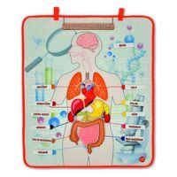 İç Organlar Sistemi Keçe Duvar Panosu , Eğitici Oyuncak