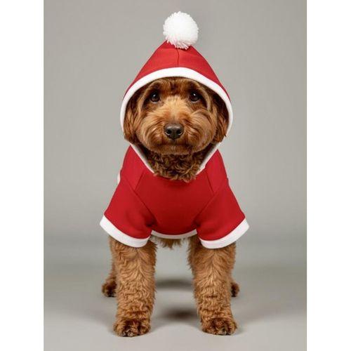 Biscotti Bear Kırmızı Xmas Köpek Kıyafeti | Kapüşonlu Polar Noel Sweatshirt | Küçük Irklar İçin