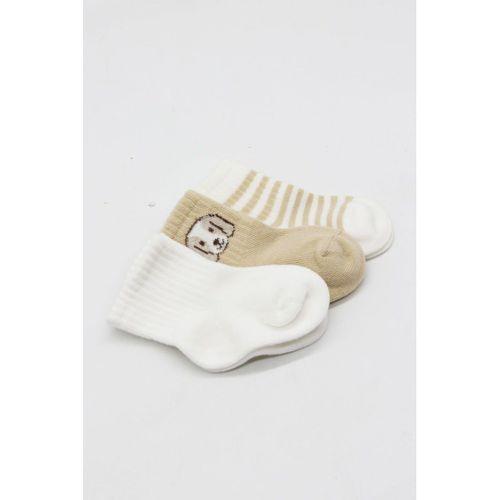 Bistyle Bistyle Dog Boy 3'lü Penye Soket Çorap 10134 Ekru