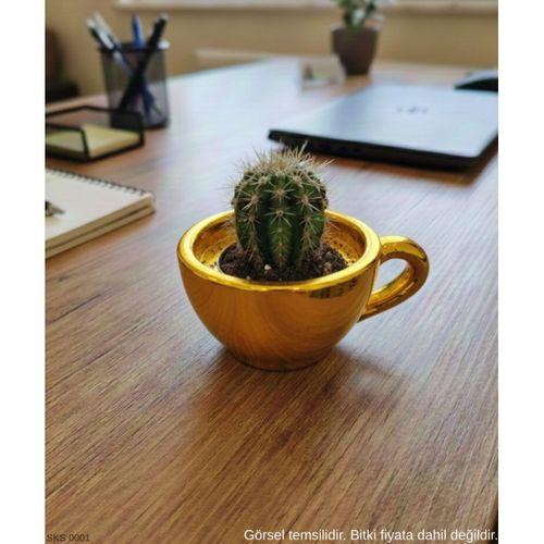 Gold Mini Dekoratif Fincan Şeklinde Saksı – 6 Cm Masaüstü &amp; Ofis Dekoru