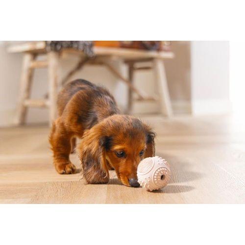 Beeztees Yavru Köpek Oyuncağı, Diş Kaşıma ve Masaj Topu, Kauçuk, Pembe, 5cm