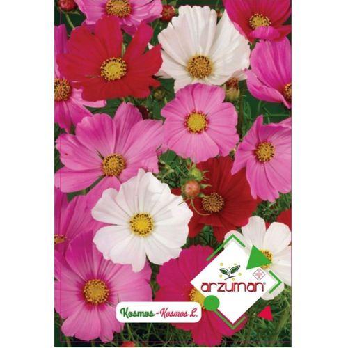 Kosmos Çiçeği Tohumu (30 Adet)