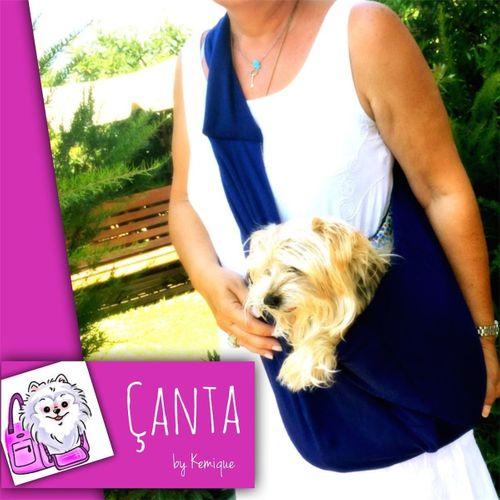 Köpek Taşima Çantası Lacivert