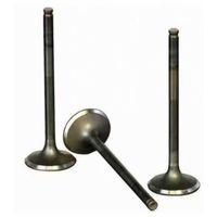 H100 Kamyonet Subap Takim Std 97-