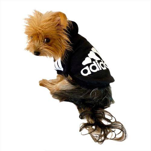 Siyah Adidog Kapşonlu Duo Köpek Sweatshirt Köpek Kazağı