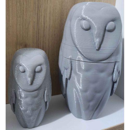 "Barn Baykuş Geocache Macerası – 6899731: Gizemli Hazine Avına Hazır!"