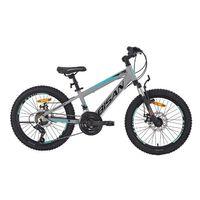 Bisan Cooper 20 Jant Mekanik Disk Fren Çocuk Bisikleti Metalik Gri-Mavi