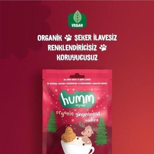 Humm Humm Organik Zencefilli ve Tarçınlı Vegan Kurabiye 55 Gr