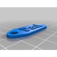 - Paul Anahtar Zinciri Etiketi Sabit (Bu ürün Sadece Plastik parçadır - Almadan Önce Soru Sorabilirsiniz)