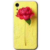 MRCİLETİSİM iPhone XR Kılıf HD Desen Baskılı Arka Kapak + Temperli Cam - Kırmızı Gül