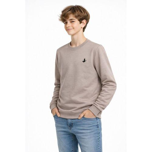 Erkek Çocuk Sweatshirt BGL-ST05228