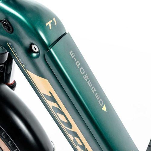 Torc 20 Jant Fatbike Katlanır Elektrikli Bisiklet Yeşil