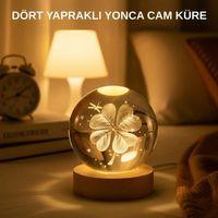 Usb Bağlantılı Yonca Bitkili Cam Küre Ahşap Altlıklı Dekoratif Lamba