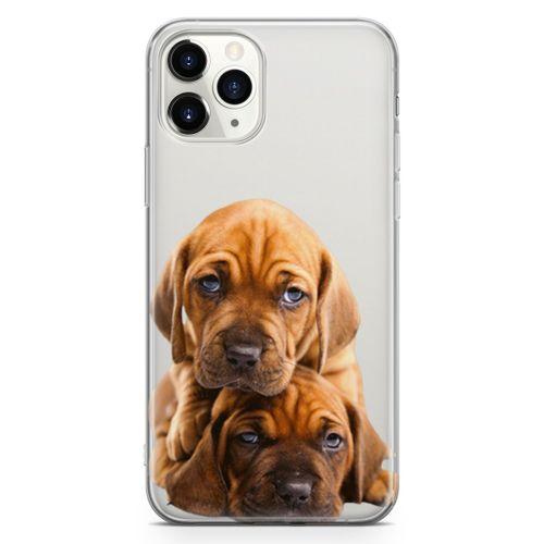 Apple iPhone 11 Pro Max Kılıf Amstaff Dachshund Arka Kapak Koruma Desenli Full Koruyucu