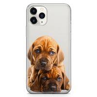 Apple iPhone 11 Pro Max Kılıf Amstaff Dachshund Arka Kapak Koruma Desenli Full Koruyucu