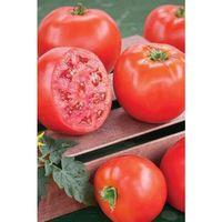Domates Tohumu H.2274 5 Gr