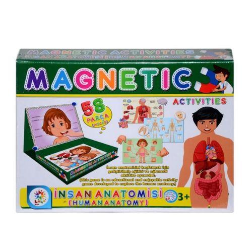 Laço Manyetik Aktiviteler – İnsan Anatomisi, 3+ Yaş Eğitici Set