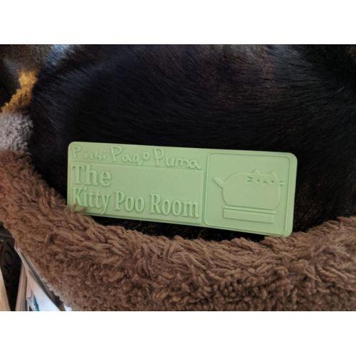 Kitty Poo Odası - 3717567