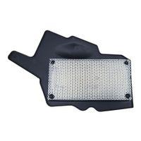 TVS Tvs Raider 125 Hava Filtre Elemanı