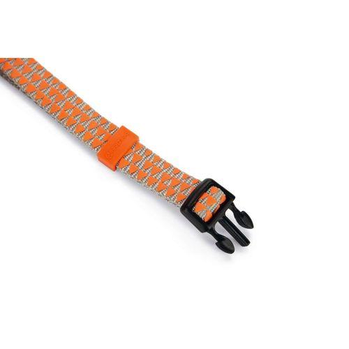Beeztees Köpek Boyun Tasması, Açık Gri Turuncu, 26-40cm
