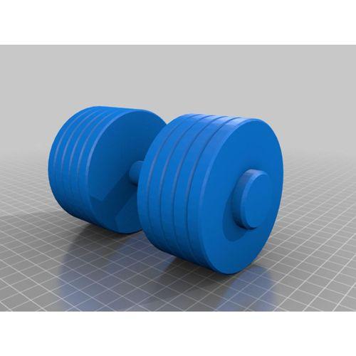 Altın S Gym Altın Dumbbell ve Dumbbell Tutucu (Bu ürün Sadece Plastik parçadır - Almadan Önce Soru Sorabilirsiniz)