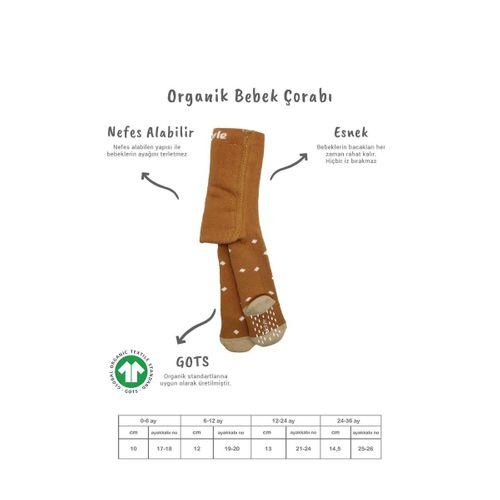 Bistyle Bistyle Tekli Puan Kaymaz Havlu Külotlu Çorap BS50502 Hardal