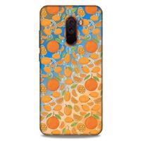 Frutix Kumkuat 02 Xiaomi Pocophone F1 Kılıf Desenli Silikon