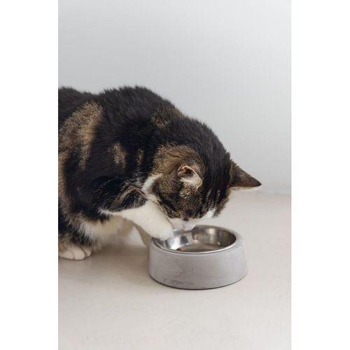 Beeztees DBL Kedi Mama Su Kabı, Paslanmaz Çelik, 12,5cm, 160ml