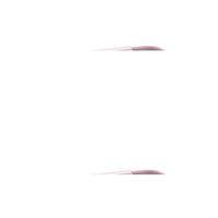 Askılı Kova Royaleks-07109