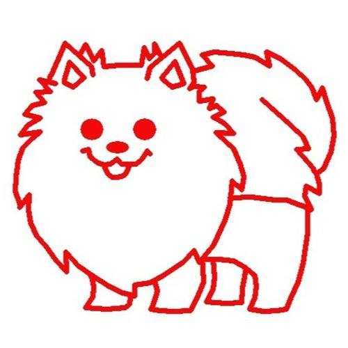 Pomeranian Anahtar Zinciri - 5138996