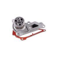 Orjinal Su Pompası Kadjar Ph2 210109334R