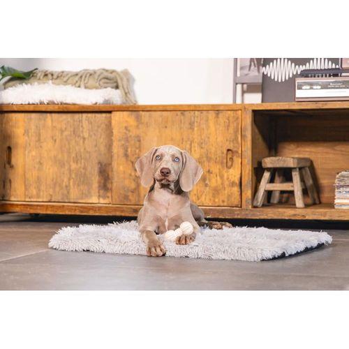 Beeztees Yavru Köpek Oyuncağı, Diş Kaşıma ve Masaj Dambıl, Kauçuk, Pembe, 9cm