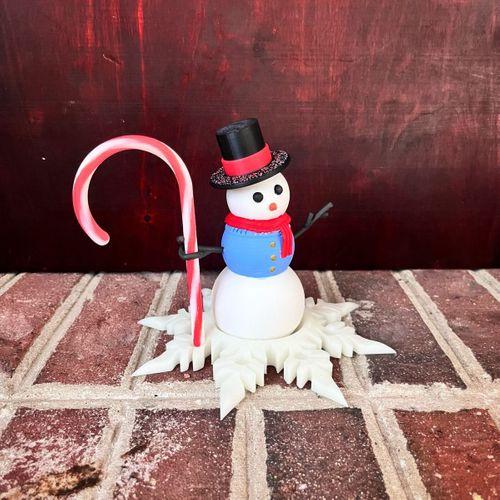 Bay Snowman - 6895440