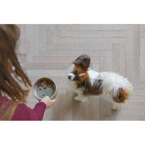 Beeztees DBL Köpek Mama Su Kabı, Seramik, Yeşil, 13,5cm, 500ml