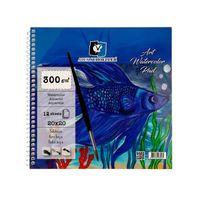 ALEX ART SULUBOYA DEFTERİ  ( 20 * 20 cm)  300 gram 12 Yaprak ( ALX-3961)