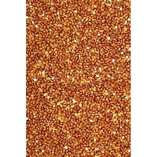 Kırmızı Darı Sade Tozsuz Doğal Taze Kuş Yemi - 500 gr