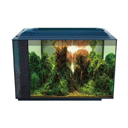 Anubias Corydoras 55 Nano Akvaryum Siyah 55,5 x 29,5 x 32 Cm