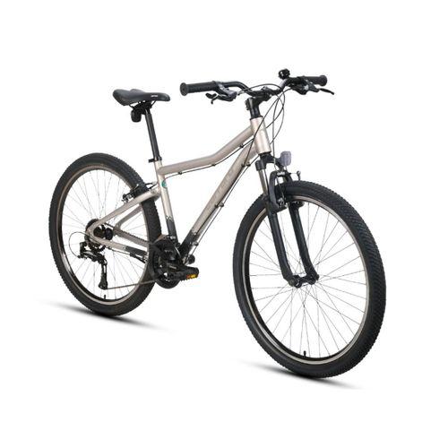 Carraro Monte 264 26 Jant Dağ Bisikleti Mat Nikel-Sıcak Gri 35 cm