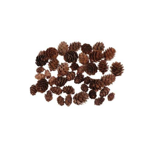 Aker Hediyelik 40lı Sağlıklı Dekoratif Çam Kozalakları Dekor Kozalak Satın Al Minik Kozalaklar Sipariş Etmek