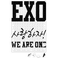 Exo We Are One Puzzle 240 Parça Yapboz