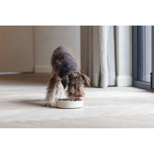 Beeztees DBL Köpek Yavaş Besleme Mama Kabı, Bambu, Bej, 17cm, 800ml