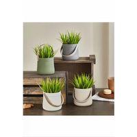 Kulplu Sepette Saz Model Çiçek Royaleks-5764