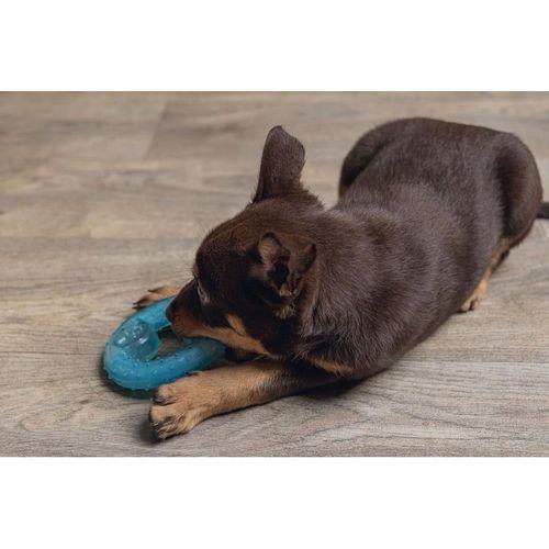 Beeztees Yavru Köpek Oyuncağı, Diş Kaşıma için Soğutulabilir, TPR, Mavi, 10x10x2,3cm