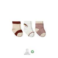 Bistyle Bistyle 3'Lü Penye Rainbow Soket Çorap BS10113 Kiremit