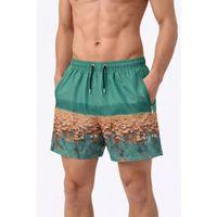 Erkek Deniz Şortu Fermuarlı Cepli File Astarlı Hızlı Kuruyan Premium - Su Yeşili