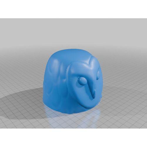 "Barn Baykuş Geocache Macerası – 6899731: Gizemli Hazine Avına Hazır!"