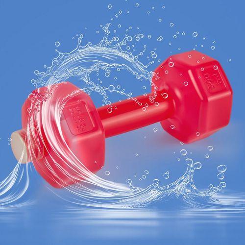 PRO SPORT DAMBIL 500 ML  PEMBE