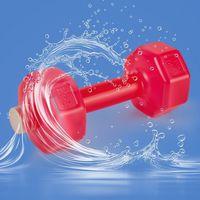 PRO SPORT DAMBIL 500 ML  PEMBE