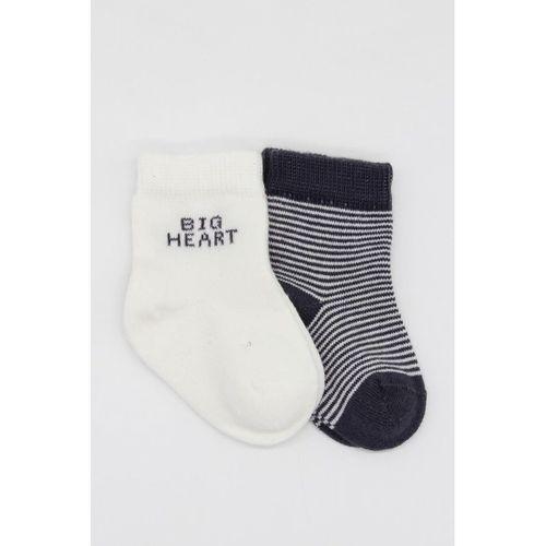 Bistyle Big Heart Penye Soket Çorap 2'Li BS10117 Antrasit